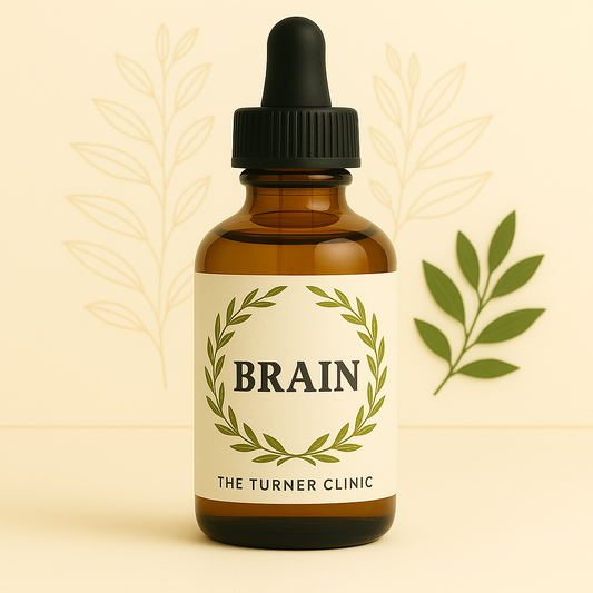 Brain, Memory, CNS, Vertigo