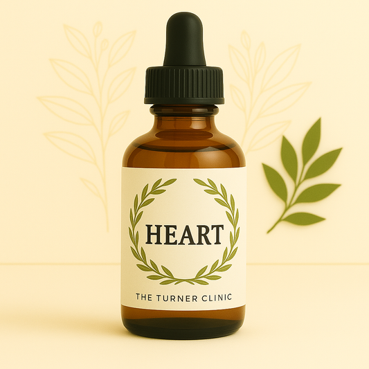 Heart, Cardiovascular